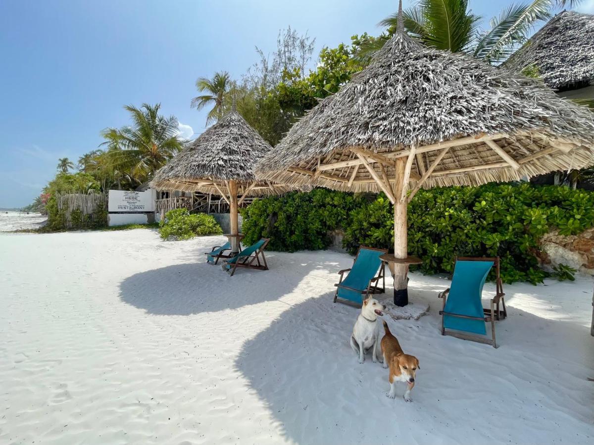 HEBE Bungalows Lodge Matemwe  Exterior foto