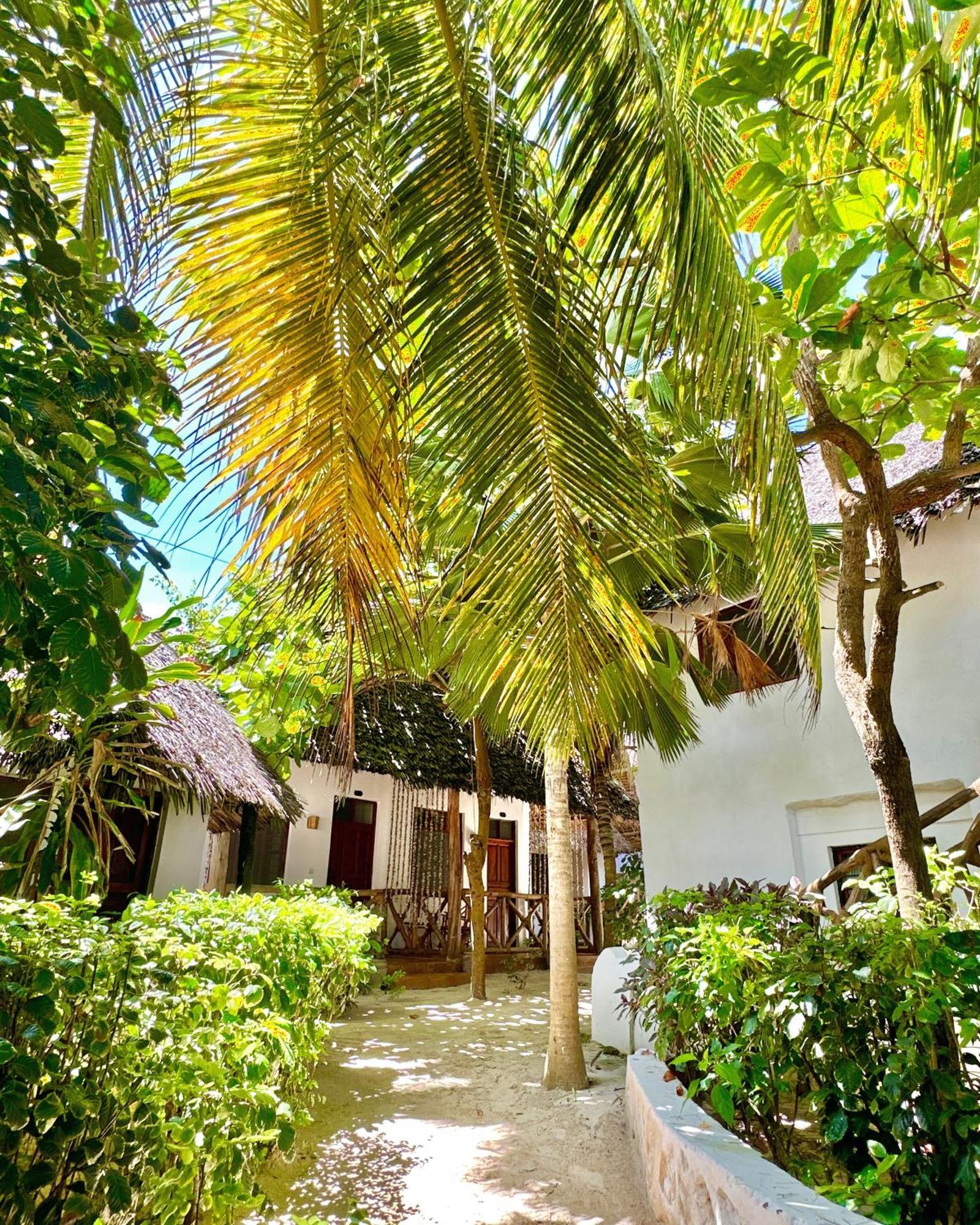 HEBE Bungalows Lodge Matemwe  Exterior foto